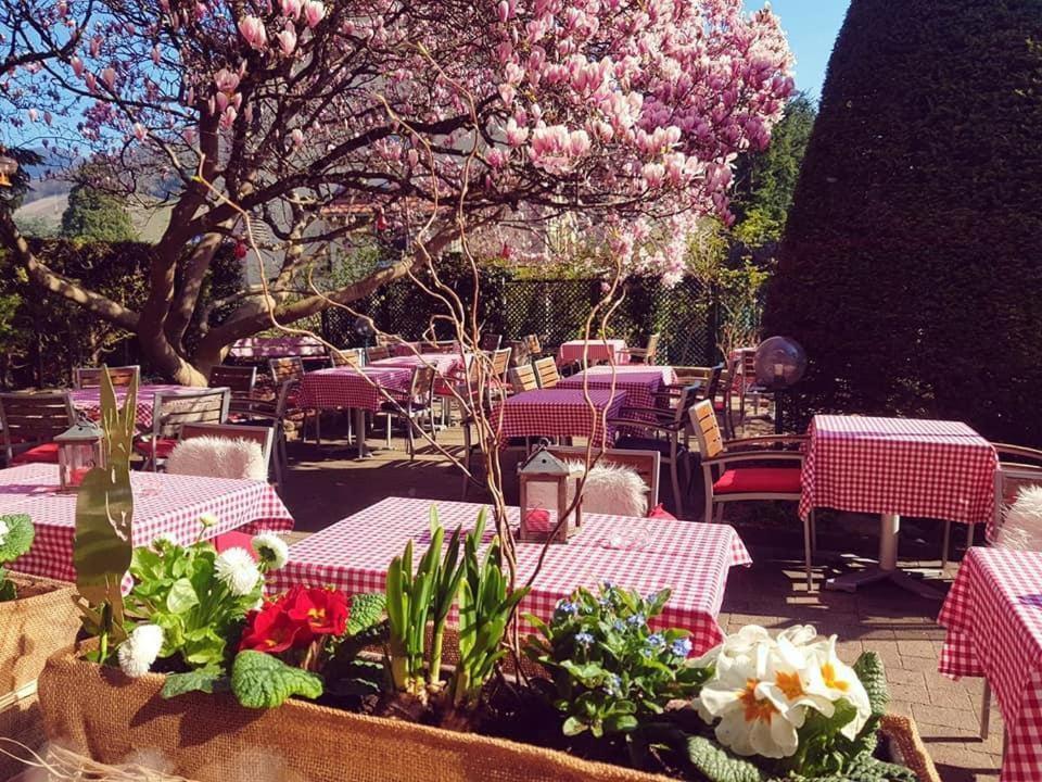 Hotel Restaurant Aux Sapins Thann Eksteriør bilde