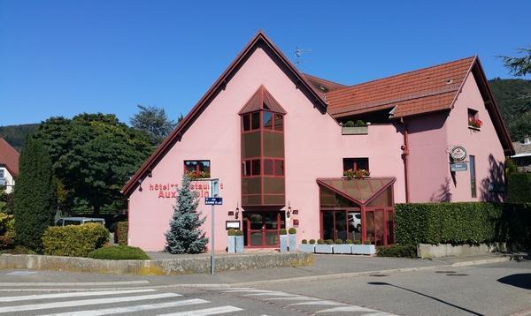 Hotel Restaurant Aux Sapins Thann Eksteriør bilde